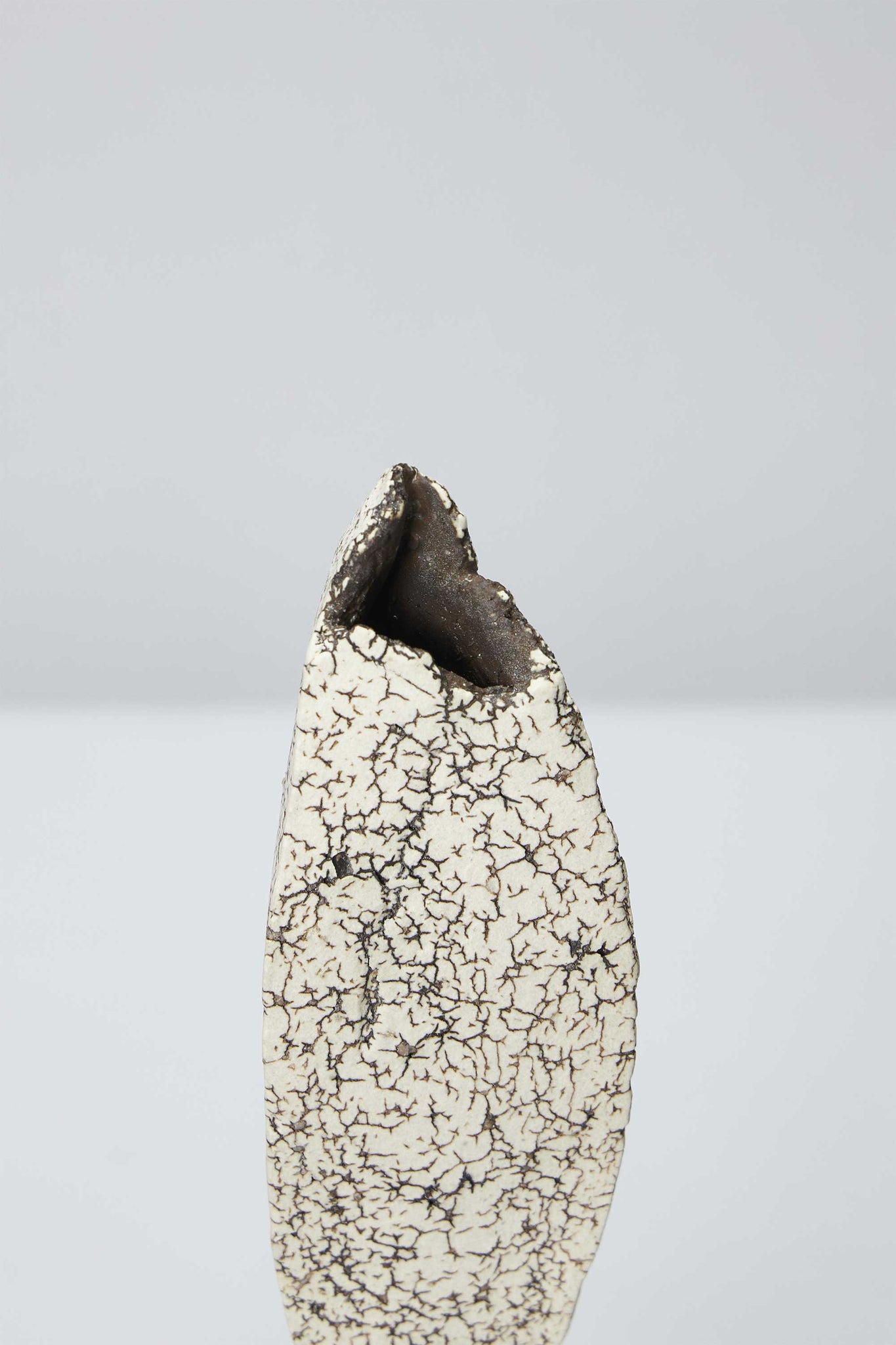 艸-objet（separate）