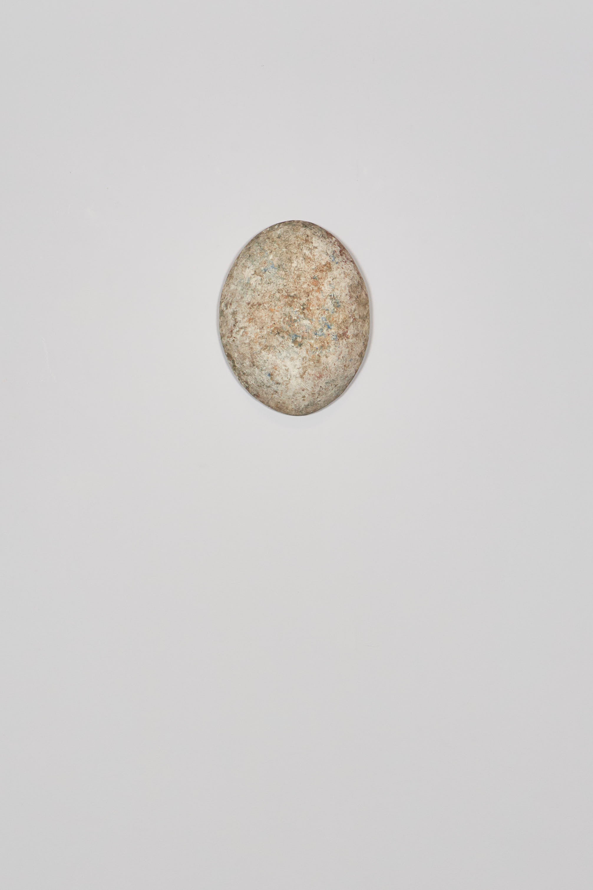 馬場 光二郎｜白磁型打 タタラ 稜花皿 I RINKA LONG PLATE