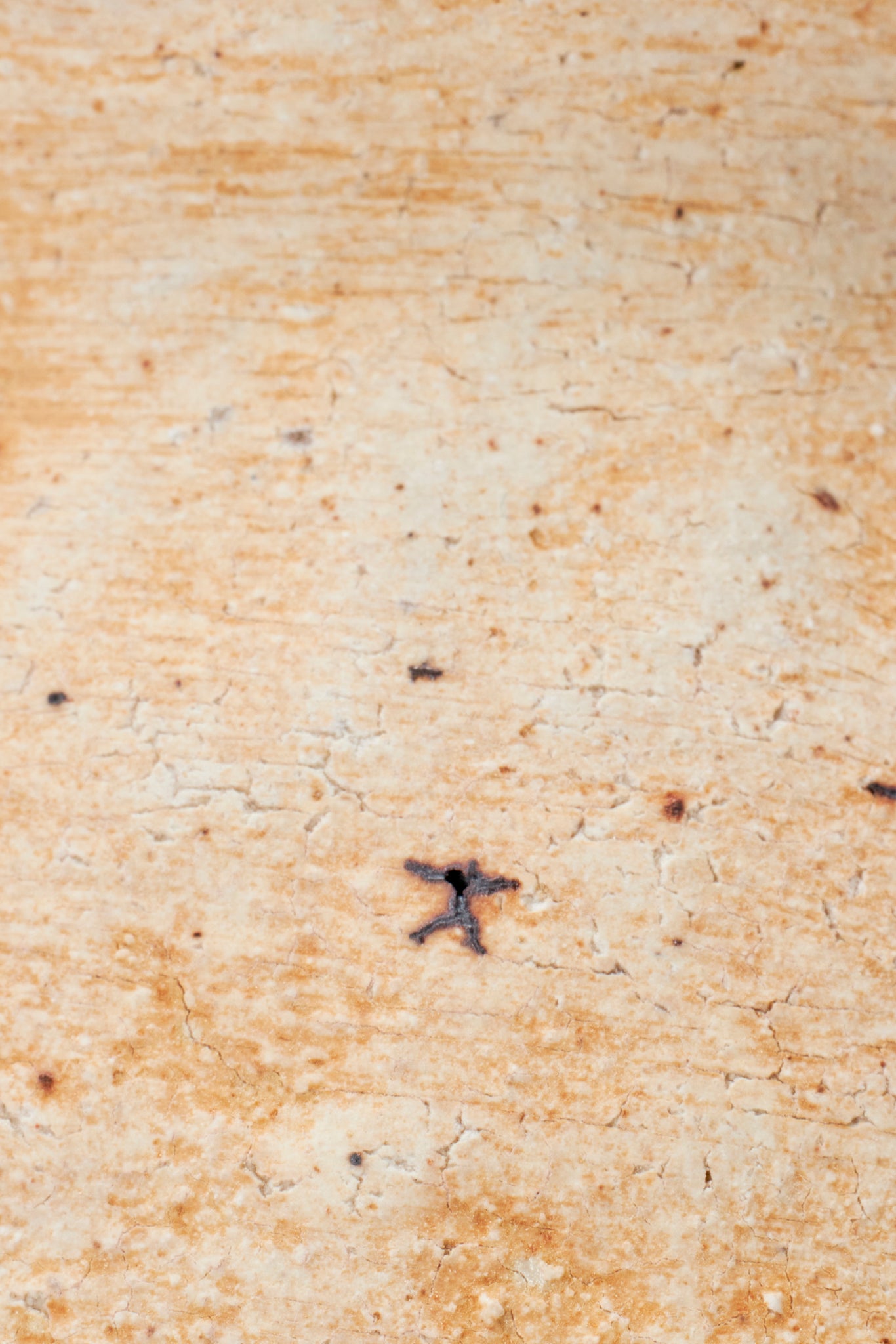 厚川 文子｜白丸壺S