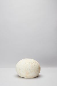 厚川 文子｜ARATSUCHI WHITE BOWL – ATELIERMO
